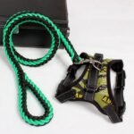 Harnesses