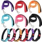 Leashes & Collars