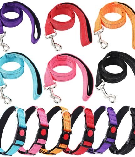 Leashes & Collars