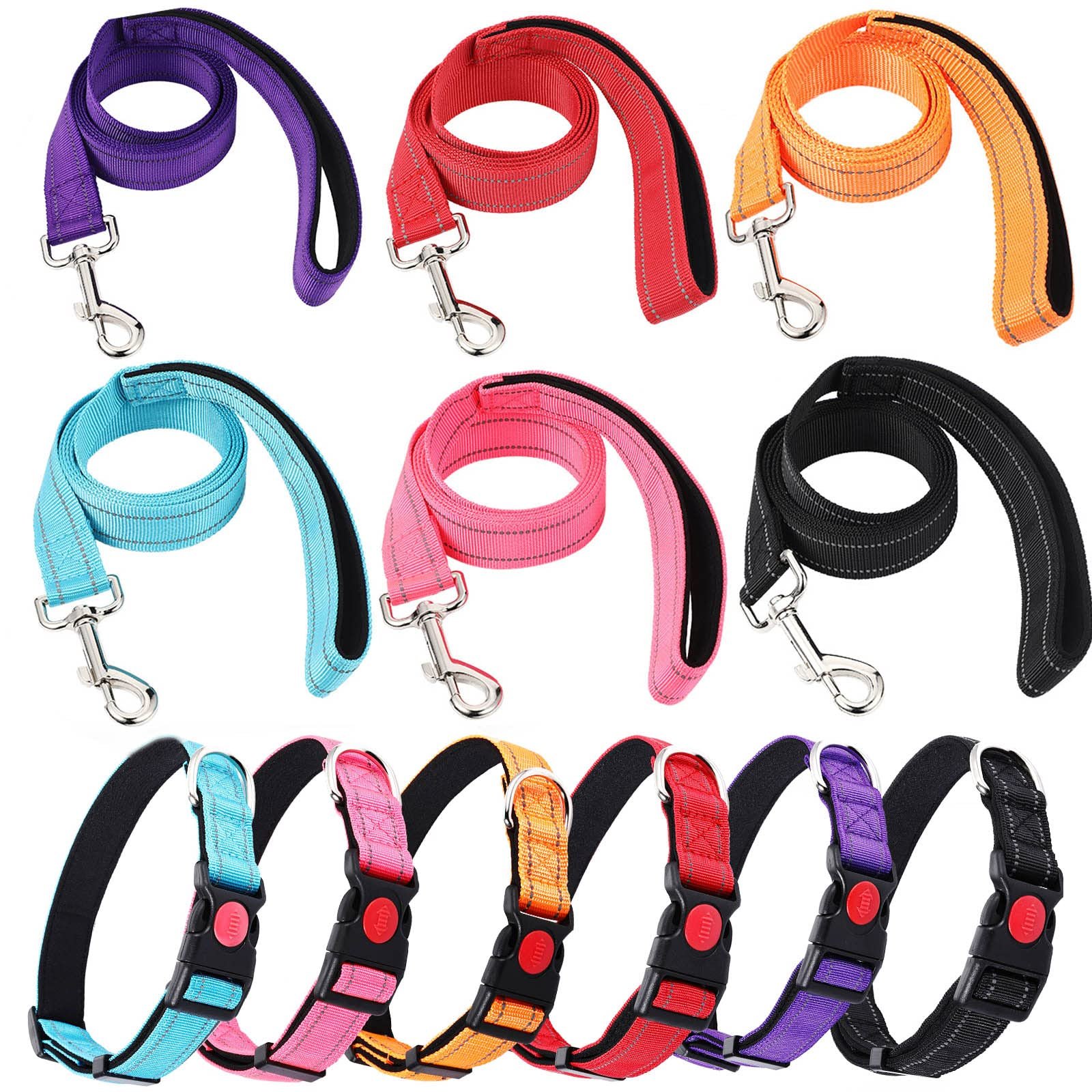 Leashes & Collars