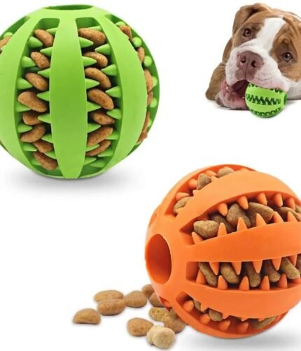 Pet Toys