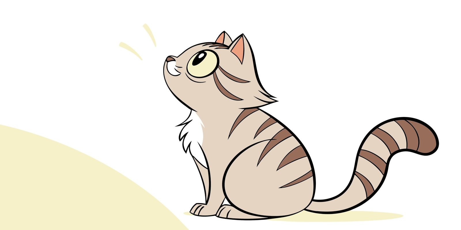 Senior cat sitting alone in dark room at night, disoriented and yowling