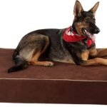 Orthopedic Memory Foam Dog Bed - for Aging, Elderly and Arthritic Dogs